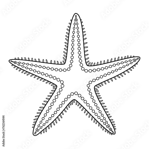 Starfish vector illustration. Black and white outline Starfish Coloring page for kids and adults. Page for relaxation and meditation. Vector illustration