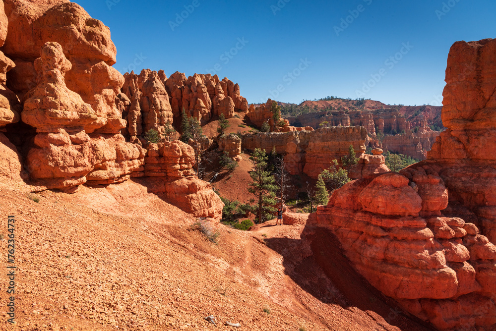 Fototapeta premium Colourful landscape along Scenic Byway 12, Dixie National Forest, Utah, USA.