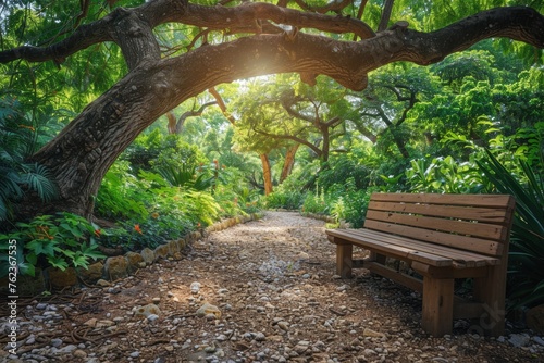 Senior man sitting on a wooden bench photo