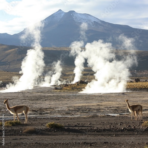 Patagonia