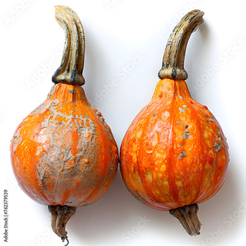 Two orange calabaza pumpkins displayed on white surface photo