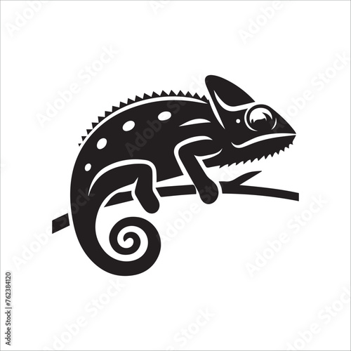  Chameleon illustration design