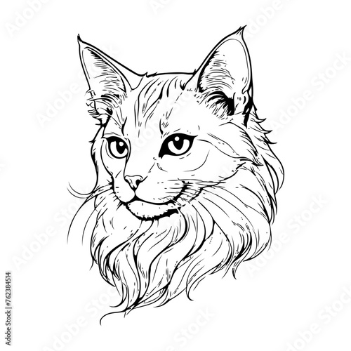 A simple line drawing of a cat. © Mulyadi Lim