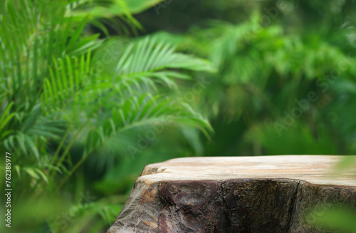 Wood podium table top floor in outdoors tropical garden forest blurred green leaf plant nature background.Natural product placement pedestal stand display,jungle paradise concept.