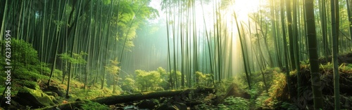 A dense forest dominated by tall bamboo trees is captured in this vivid scene. The thick foliage creates a green canopy  with sunlight filtering through the tall  slender trunks.