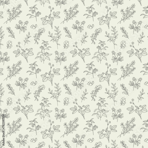 Line art hand drawn botanical pattern. Nordic berries pattern. Seamless plants pattern. Plants outline on a pastel background. Healing herbs, organic ingredients, aromatherapy plants. 