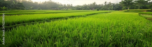 A vibrant green field stretches out with trees in the background under a clear sky. The landscape is rich with lush vegetation and natural beauty.