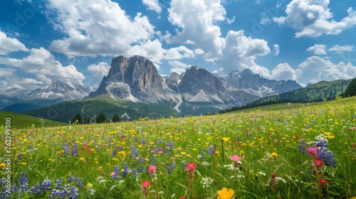 A field covered in wildflowers with imposing mountains in the background, all under a cloudy sky. The scene captures the beauty of nature in a harmonious composition.