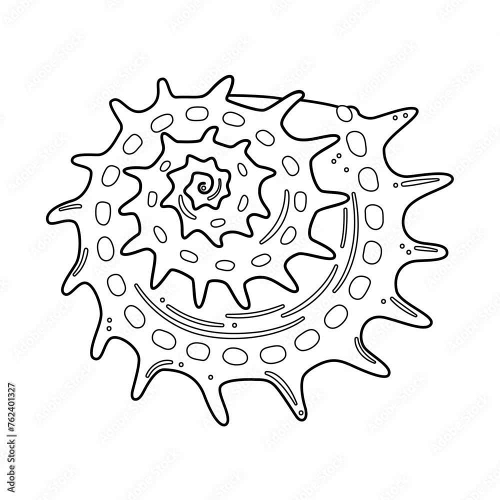 Seashell vector illustration. Black and white outline Seashell Coloring page for kids and adults. Page for relaxation and meditation. Vector illustration Seashell vector illustration. Black and white outline Seashell Coloring page for kids and adults. Page for relaxation and meditation. Vector illustration