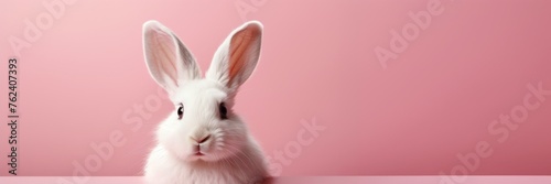 Small white rabbit on a pink background with place for text. Easter theme. Generative AI