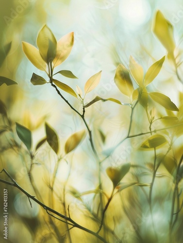 Newly sprouted green leaves delicately contrast with the gentle blur of a soft blue sky in spring. © Janie