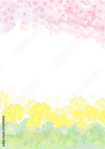 水彩風の菜の花と満開の桜の背景フレーム