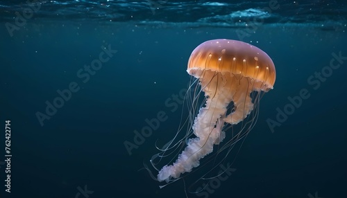 A Jellyfish In A Sea Of Twinkling Ocean Life Upscaled 9 © Nimaat