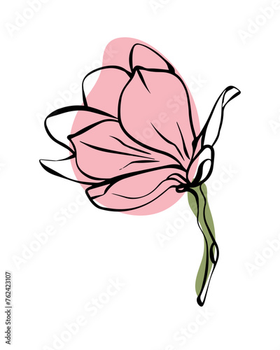 Magnolia in sketch style with abstract color shapes, hand-drawn isolated on white background. Floral sketch for print designs, signage, flower shops, logos in black and white.