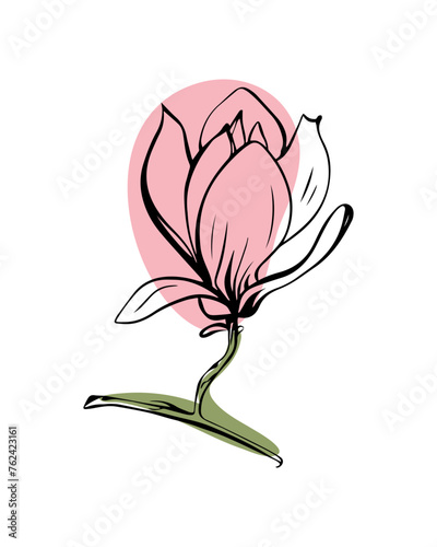 Magnolia in sketch style with abstract color shapes, hand-drawn isolated on white background. Floral sketch for print designs, signage, flower shops, logos in black and white.