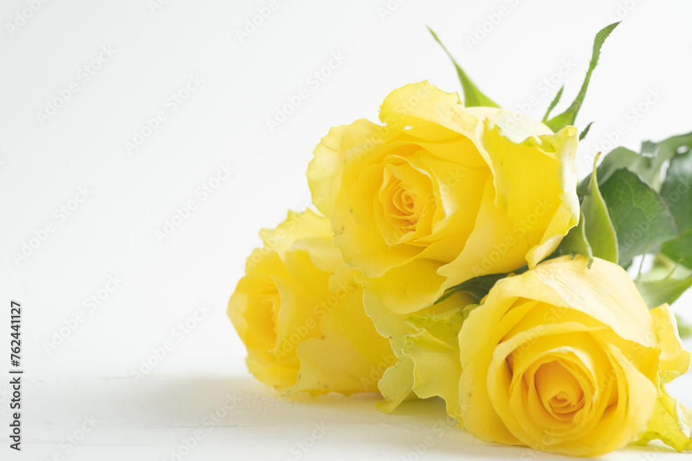 黄色い薔薇と父の日のイメージ