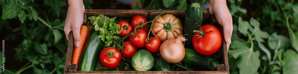 Hands holding a wooden box filled with fresh vegetables, showcasing the bountiful harvest of a garden or farm.