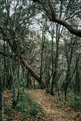 Senderismo en Queretaro Cerro Tumba del Monje Laguna Servin