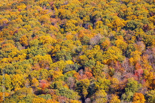Autumn colors at Mount Magazine State Park.