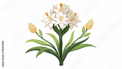 flower and svg file