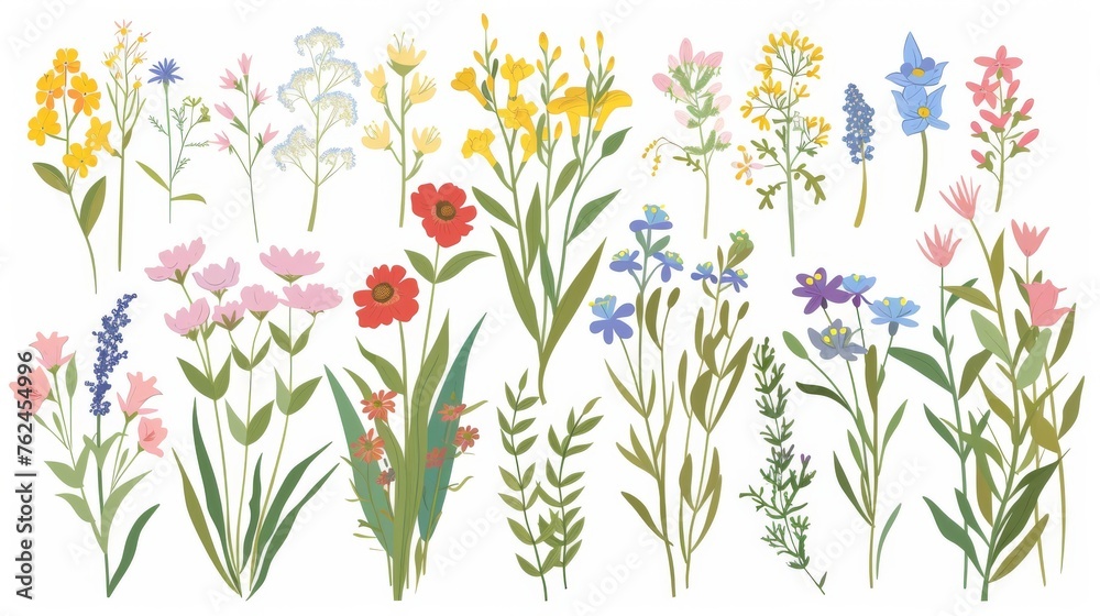An illustration of different lovely bouquets with garden and wild flowers. A collection of various stemmed and leafed plants isolated on white. As a decoration or a gift. An illustration of different lovely bouquets with garden and wild flowers. A collection of various stemmed and leafed plants isolated on white. As a decoration or a gift.