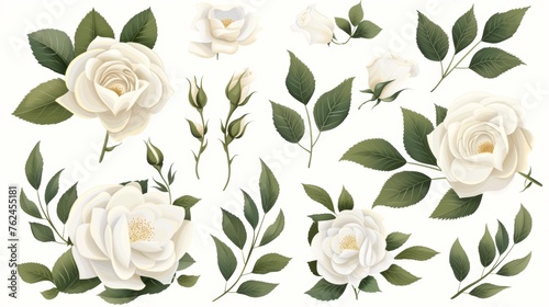 White rose branches set with green leaves in a wedding concept. Floral poster for greeting cards or invitations. Modern arrangements for greeting cards or invitations. photo
