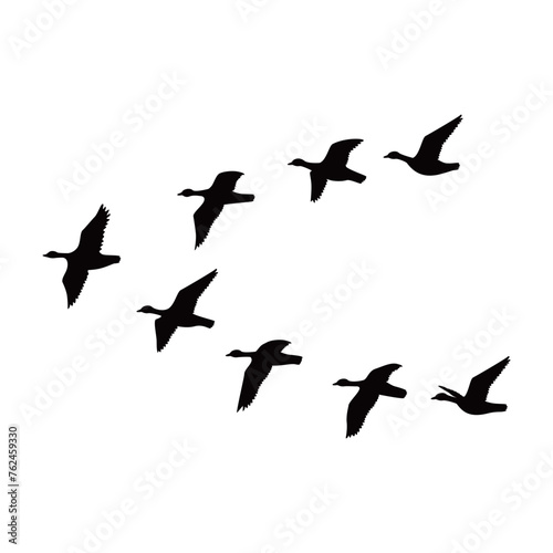 Canada goose silhouette design. wild duck flying in group.