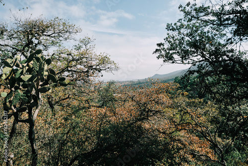Paisaje del Cerro bosque en senderismo en Huimilpan y Amealco en Queretaro México