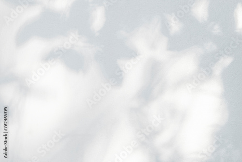 Abstract leaf shadow and light blurred background. Natural leaves tree branch shadows and sunlight dappled on white concrete wall texture for background wallpaper and design, shadow overlay effect photo