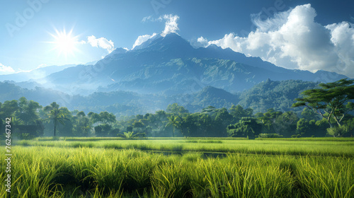 Stunning landscape of lush green rice fields with a majestic mountain range under a bright sunlit sky in the background.