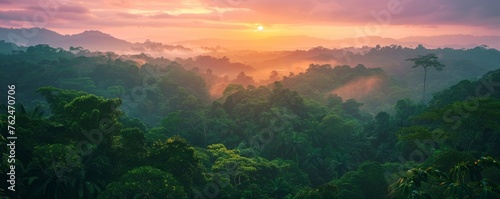Sun Shining Through Clouds in Jungle