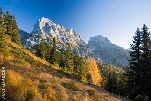 Fototapeta Naklejka Na Ścianę i Meble -  Ennstaler Alpen, Nationalpark Gesäuse, Sparafeld, Reichenstein, Steiermark