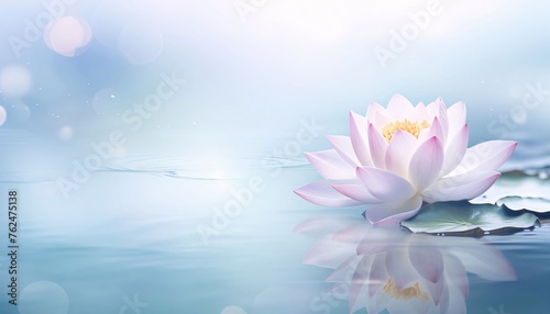 Blue water lily on water with green leaves, banner, space for your own content. Flowering flowers, a symbol of spring, new life.