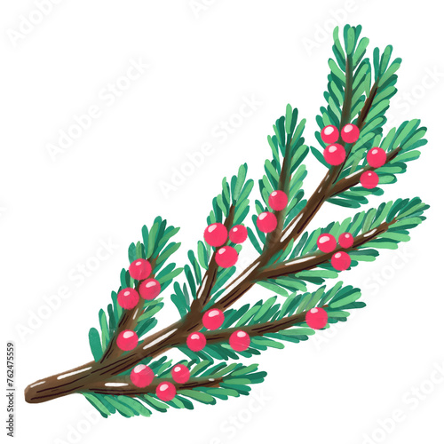 Christmas Branches with water color and pencil color style.