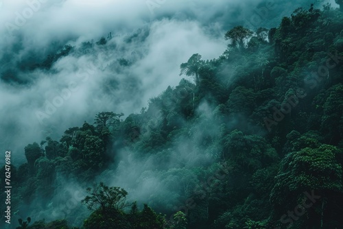 Enchanting High-Altitude Cloud Forest Blanketed in Mist on Earth Day