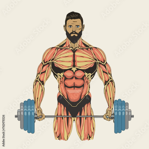 red white black modern style minimalist lines of a strong muscle pose strong body builder anatomy man at gym with bundle Doing exercises in all body positions using different gym equipment

