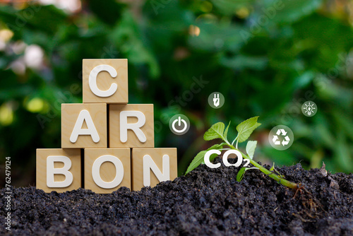 Carbon Neutrality and Net Zero concept. wooden blocks and green net center icon on blur nature background