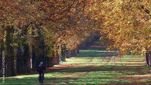 Parc de Versailles
