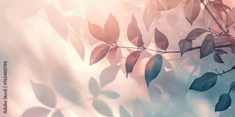 Soft leaf silhouettes over a pastel gradient background, evoking tranquility