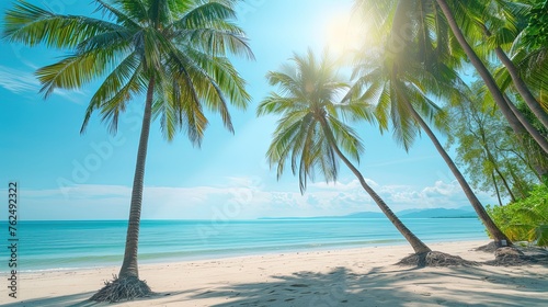 Coconut palm trees along the beach with blue sky background in sunny day. Azure skies  golden sands