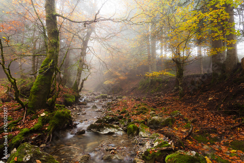 Torrent de bellecombe 