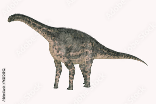 Cetiosaurus Giant Sauropod - Cetiosaurus was a herbivorous sauropod Titanosaur that lived in Africa during the Jurassic Period. photo