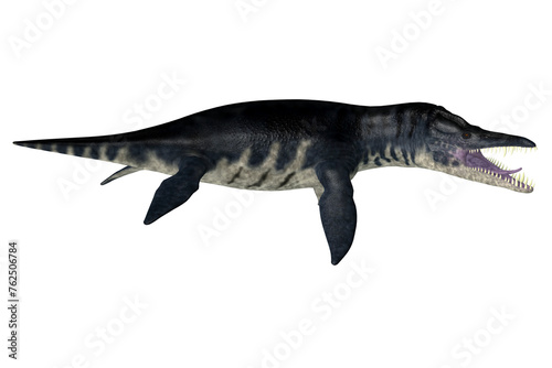Liopleurodon Sea Reptile - Liopleurodon was a carnivorous marine plesiosaur that lived in the Jurassic seas of Europe and Canada.