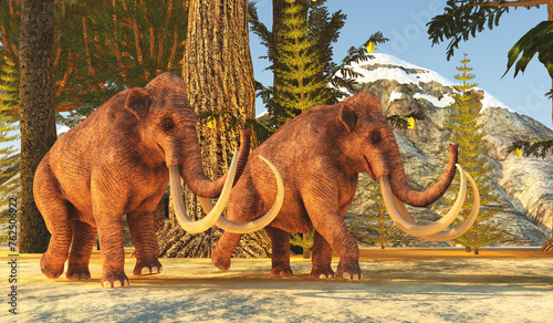Columbian Mammoths - The Columbian Mammoth lived during the Pleistocene Period of North America.