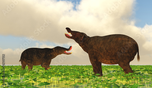 Platybelodon Disagreement - Platybelodon was herbivorous elephant mammal that lived in Africa, Europe and North America during the Miocene and Pleistocene Periods.