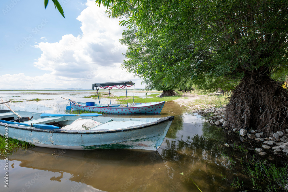 Obraz premium Decorated day-trip boats in Isikli Lake in Denizli's Civril district. Isıkli Lake is flooded with visitors during lotus time. It is also a popular lake for hunters.