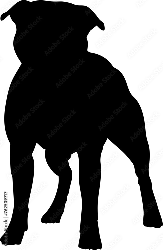 Vector isolated black silhouette of a dog English Staffordshire Bull Terrier. Staffy dog,  outline sketch, icon, logo, label.
