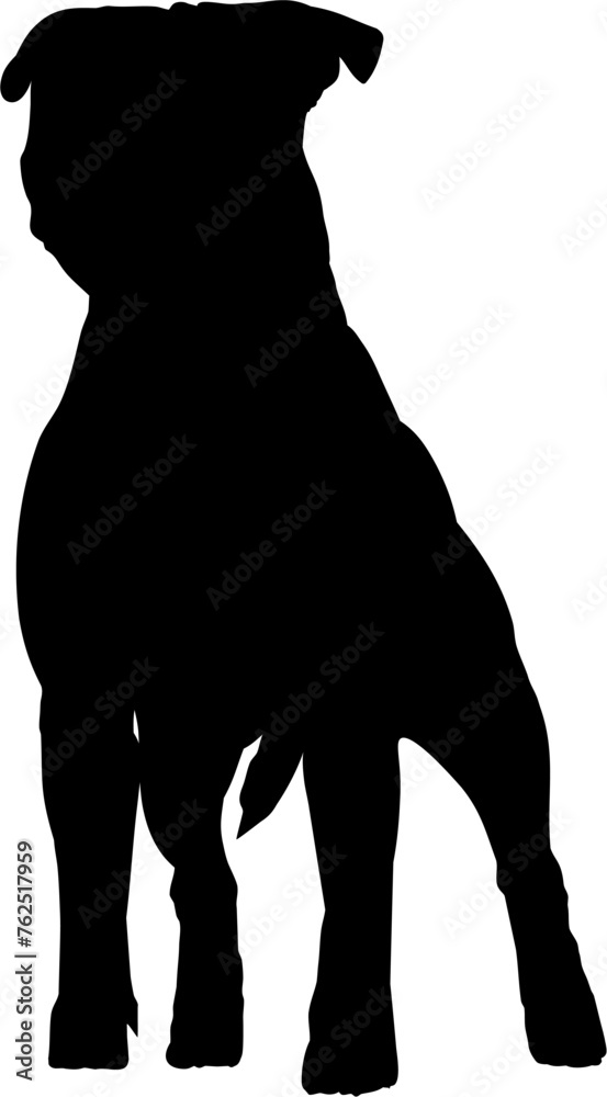 Vector isolated black silhouette of a dog English Staffordshire Bull Terrier. Staffy dog,  outline sketch, icon, logo, label.
