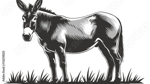 Monochrome donkey exuding stubborn charm elegantly photo
