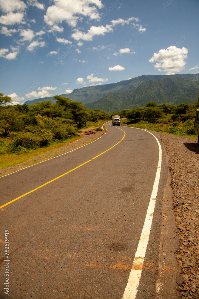 Fototapeta premium A long road in the woods, Kenya.